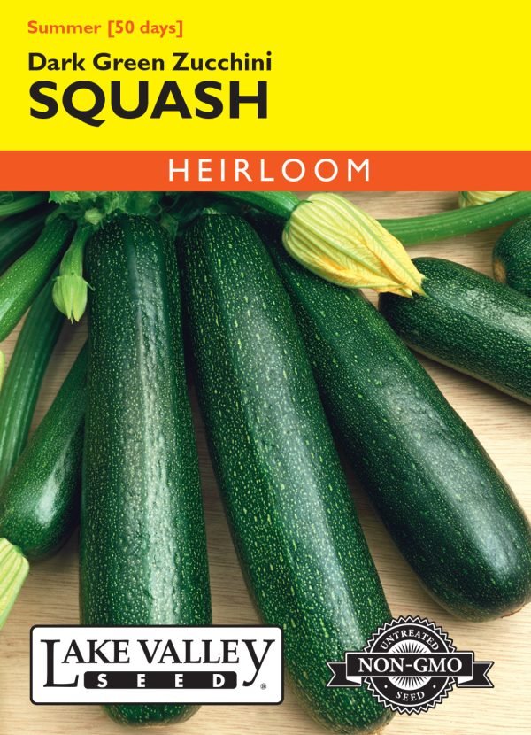 Squash Dark Green Zucchini