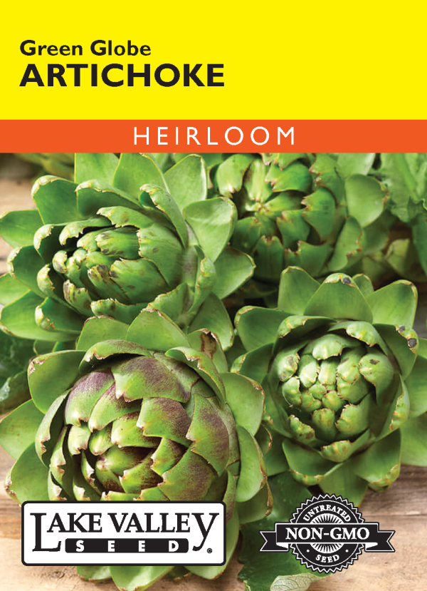 Artichoke Green Globe