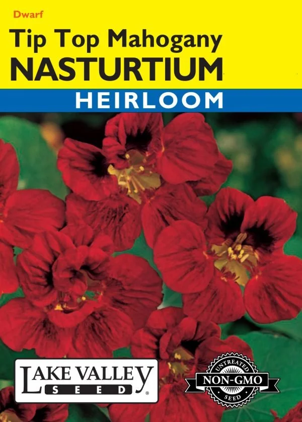 Nasturtium Tip Top Mahogany Heirloom