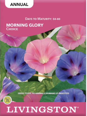Morning Glory Choice Mix