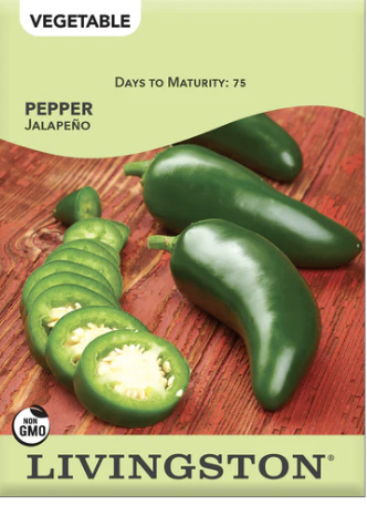 Pepper Jalapeño