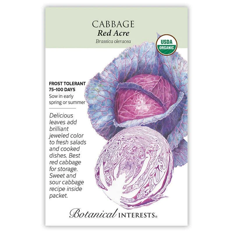 Cabbage Red Acre