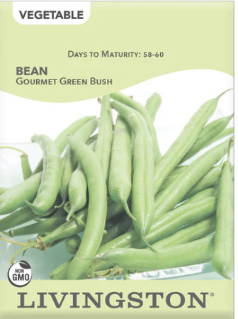 Bean Gourmet Green Bush