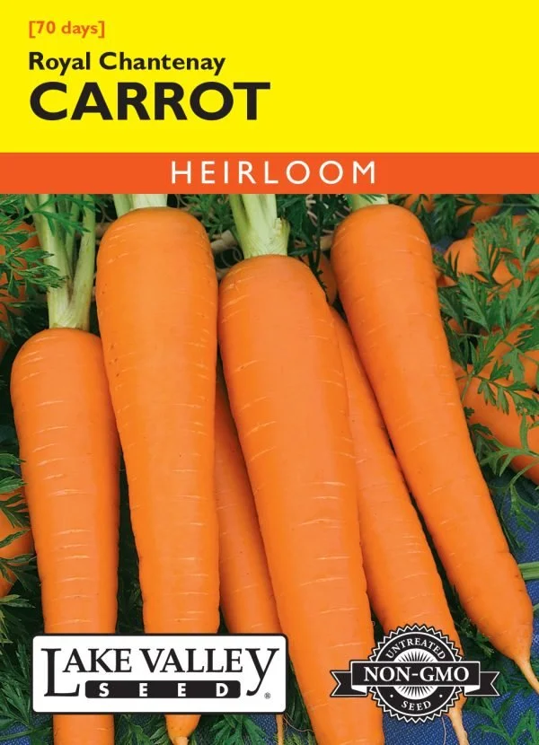 Carrot Royal Chantenay