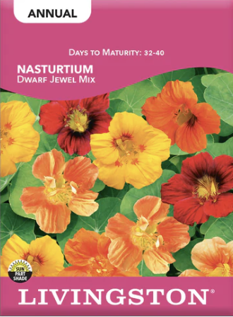 Nasturtium Dwarf Jewel Mix