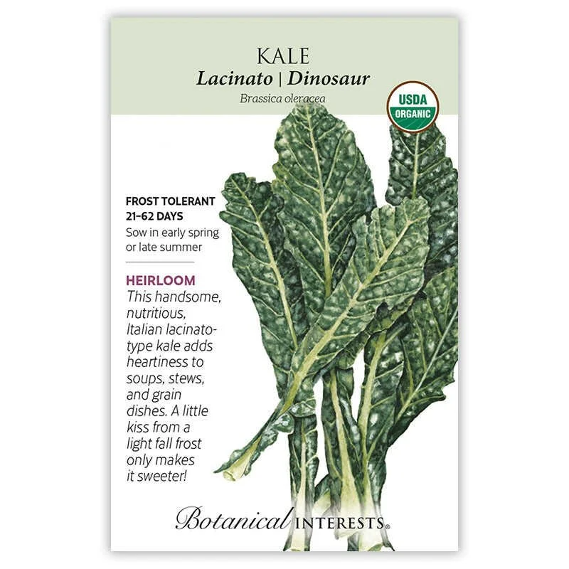 Kale Lacinato Heirloom