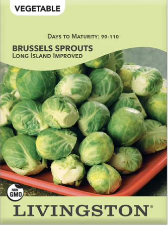 Brussels Sprouts Long Island Improved
