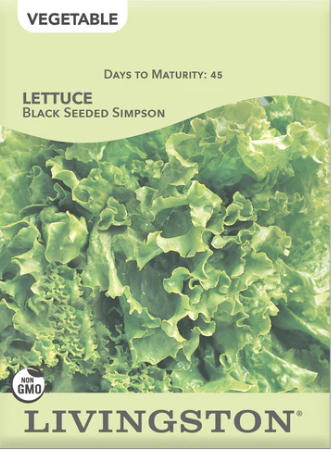 Lettuce Black Seeded Simpson