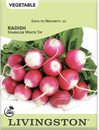 Radish Sparkler White Tip