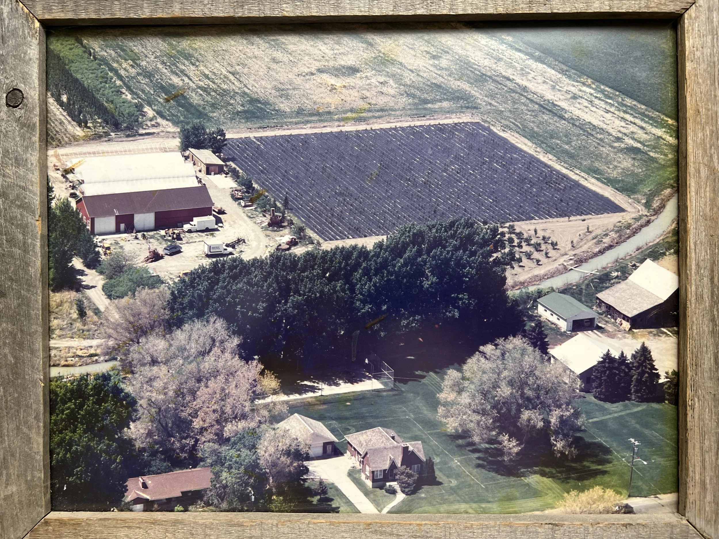 Henry Schmidt's Farm on Redwood Road in West Jordan. Aerial view of a farm with a large barn, smaller outbuildings, a field covered with solar panels, and surrounding trees.
