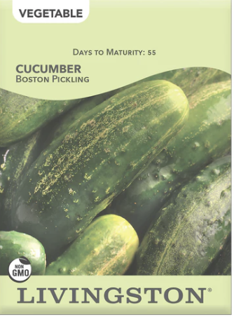 Cucumber Boston Pickling