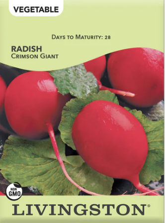 Radish Crimson Giant