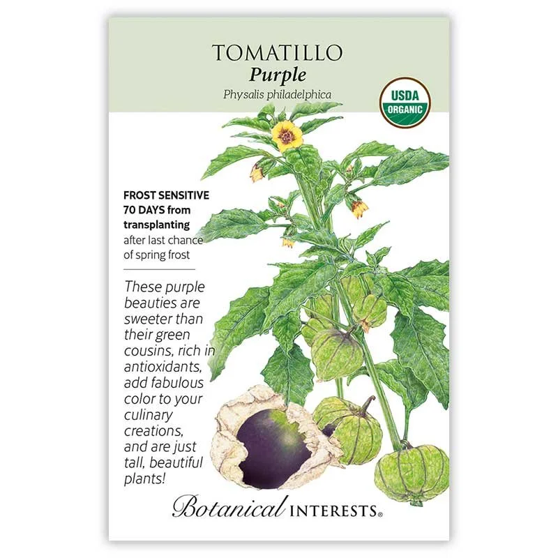 Tomatillo Purple