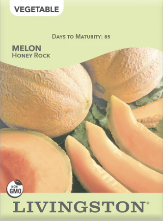 Screenshot 2026-01-26 at 9.36.56 AM.png