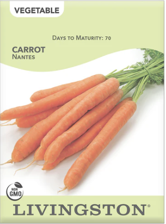 Carrot Nantes