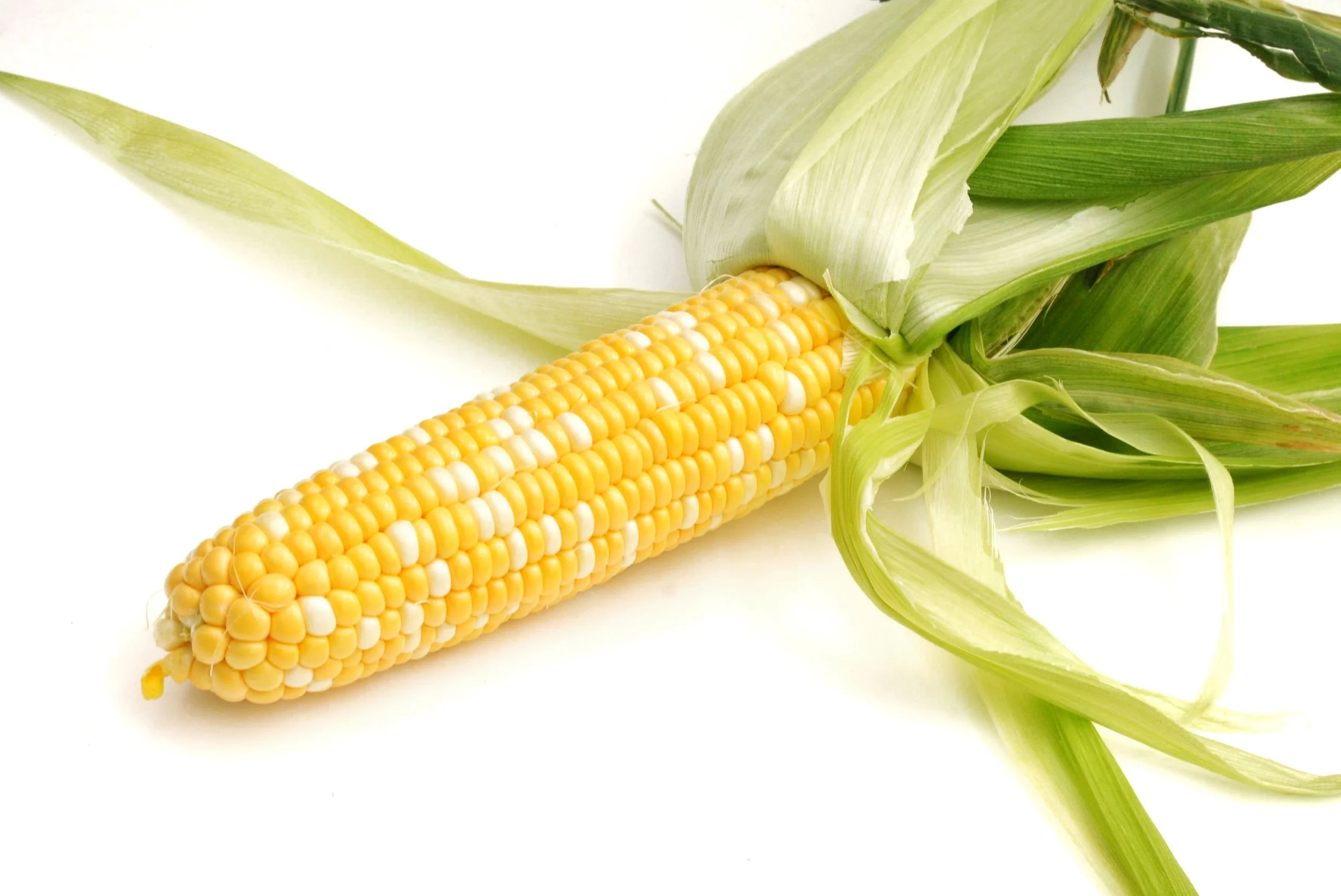 Schmidt's Super Sweet Corn