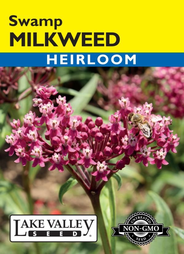 Milkweed Swamp Heirloom