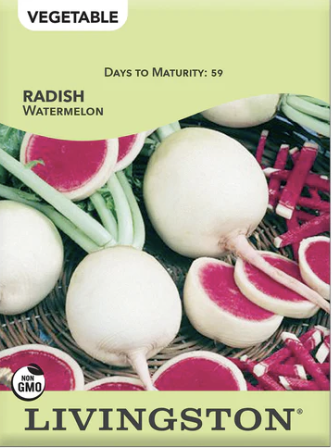 Radish Watermelon