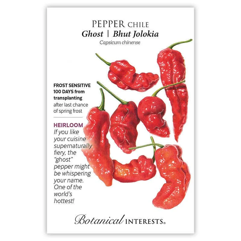 Pepper Ghost Bhut Jolokia Heirloom