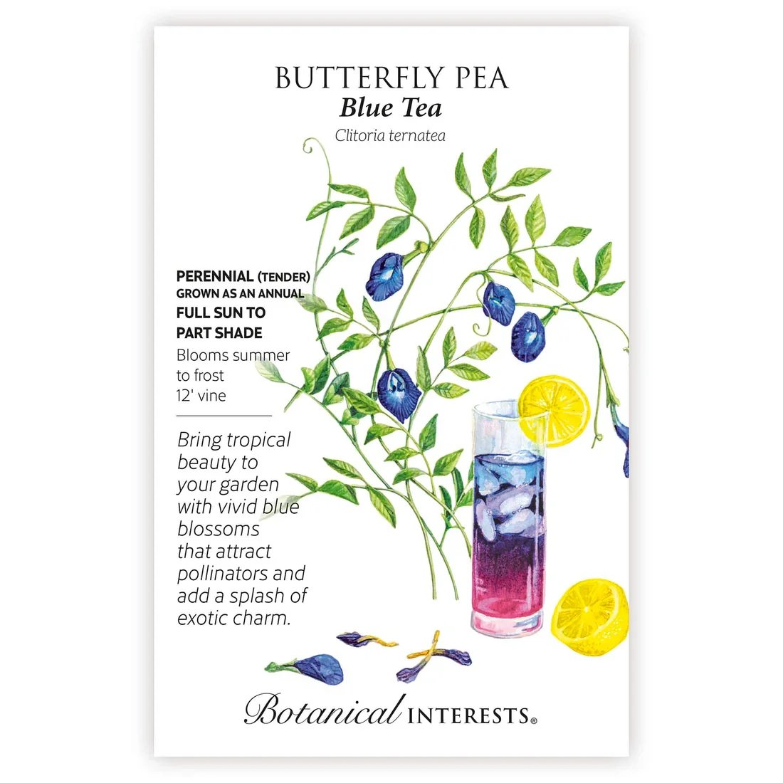 Butterfly Pea - Blue Tea