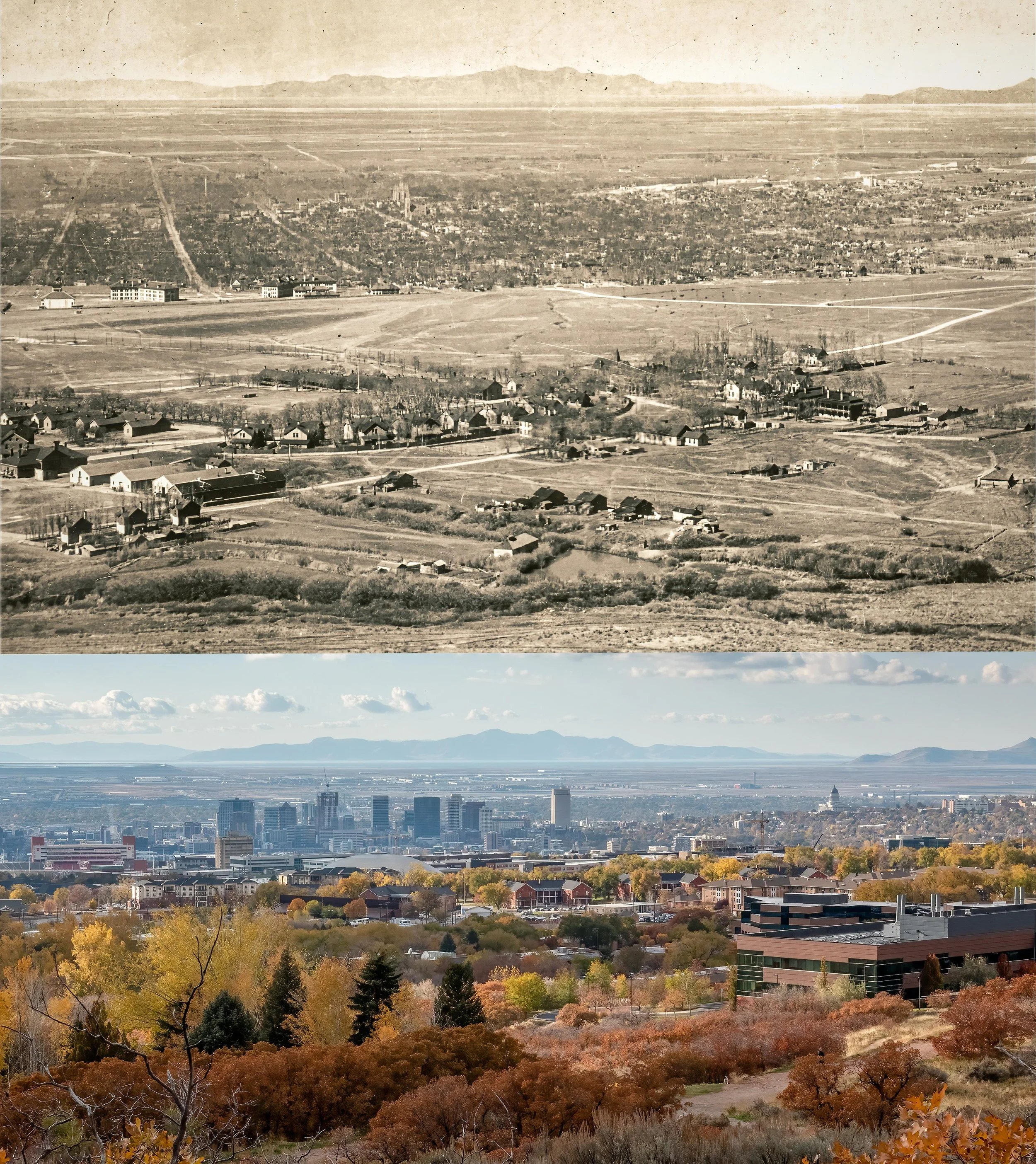 A panoramic view of a cityscape with downtown buildings, mountains in the distance, and trees with colorful autumn leaves in the foreground.