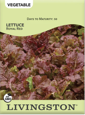 Lettuce Royal Red
