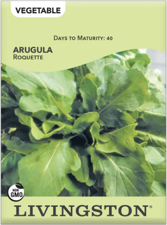Arugula Roquette