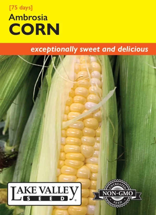 Corn Ambrosia