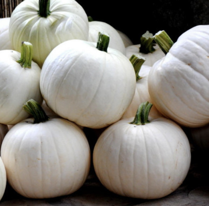 Cotton Candy Pumpkin