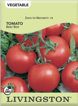 Tomato Best Boy