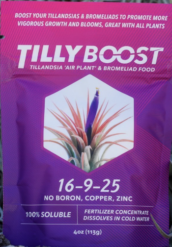 Tilly Boost