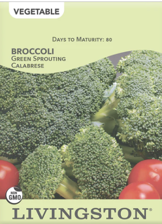 Broccoli Green Sprouting Calabrese