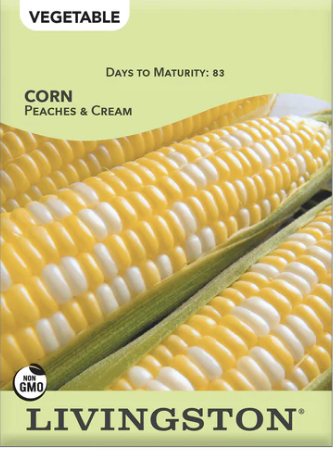 Corn Peaches & Cream