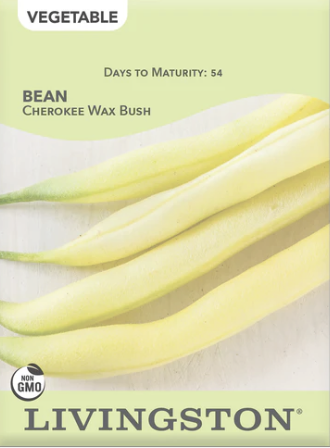Bean Cherokee Wax Bush