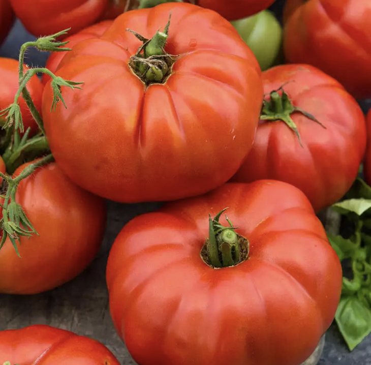 Beefsteak Tomato