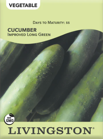 Cucumber Improved Long Green