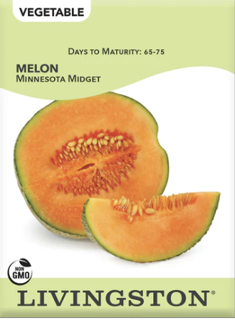 Melon Minnesota Midget