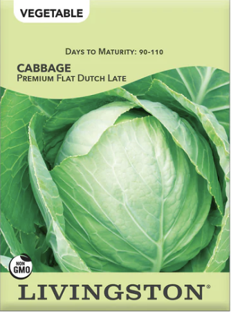 Cabbage Premium Flat Dutch Late