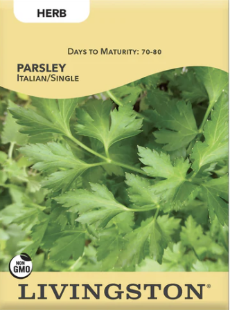 Parsley Italian/Single