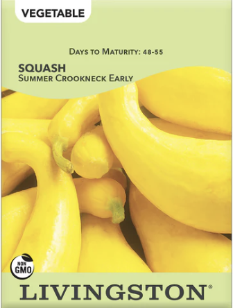 Squash Summer Crookneck Early
