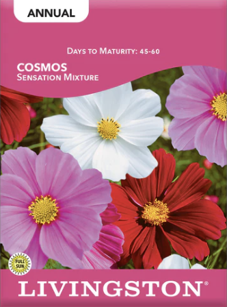 Cosmos Sensation Mix