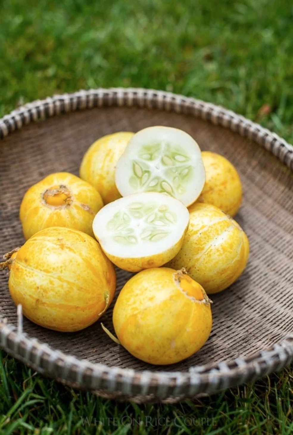 Lemon Cucumber