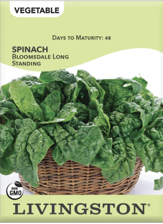 Spinach Bloomsdale Long Standing