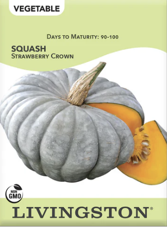 Squash Strawberry Crown