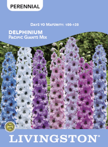 Delphinium Pacific Giants Mix