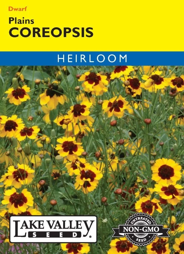 Coreopsis Plains Heirloom