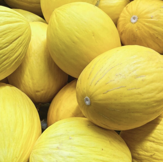 Canary Melon