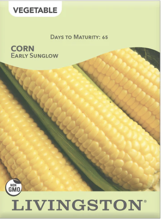Corn Early Sunglow
