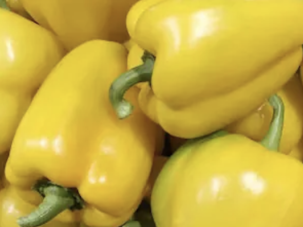 Yellow Bell Pepper