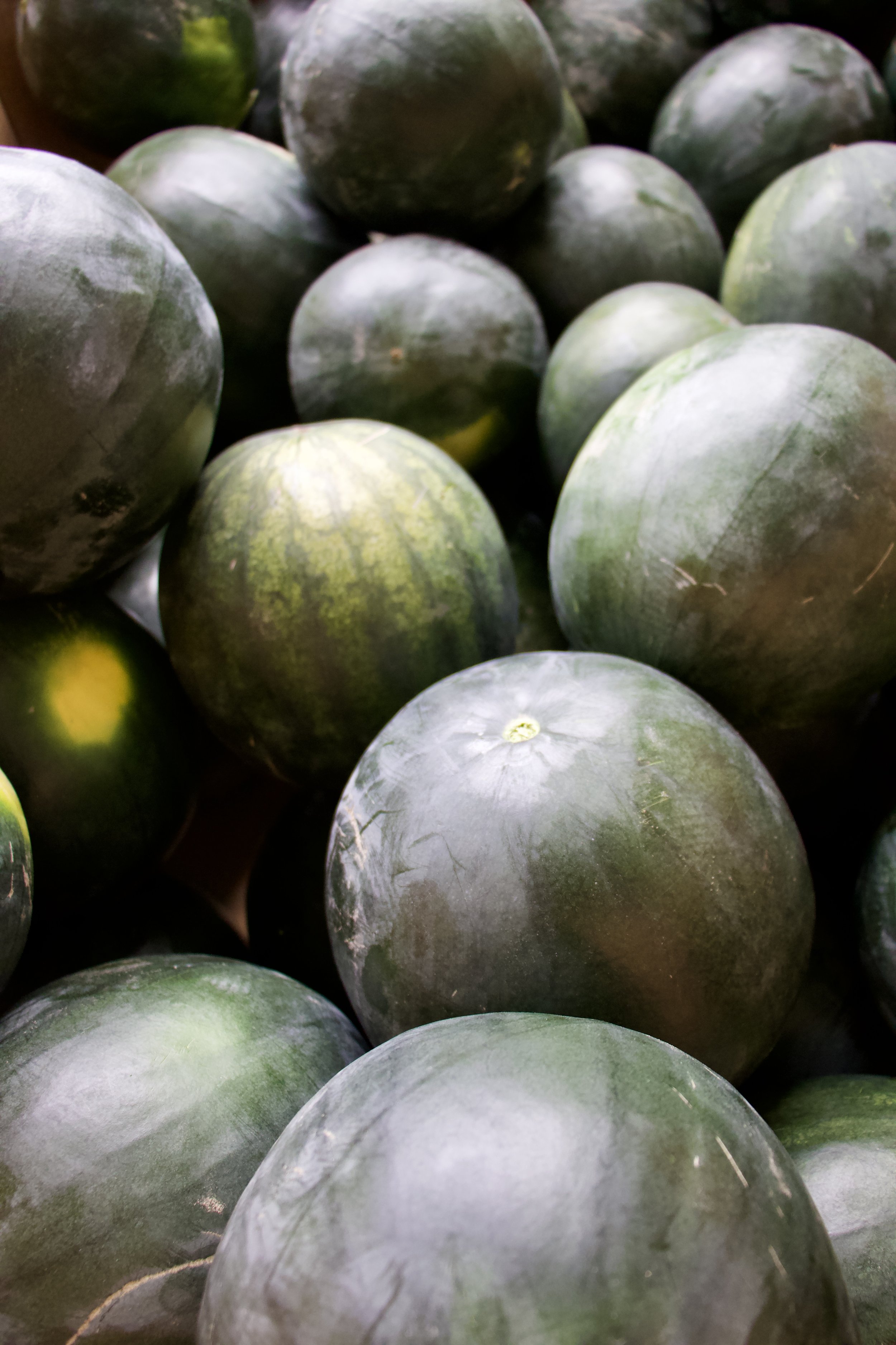 Seedless Watermelon